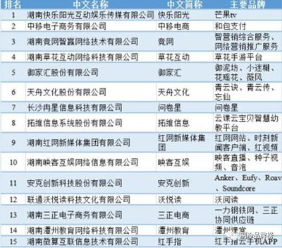 强华信息与芒果TV、红网等知名企业上榜湖南互联网五十强